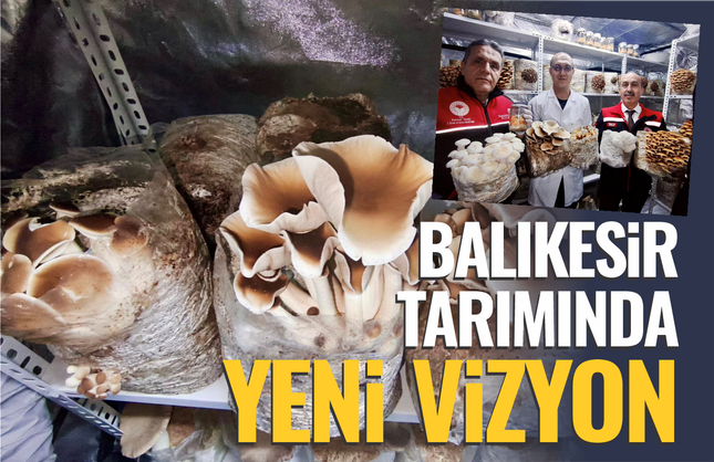 Balıkesir Tarımında Yeni Dönem: Tıbbi ve Egzotik Mantarlarla Katma Değerli Üretim