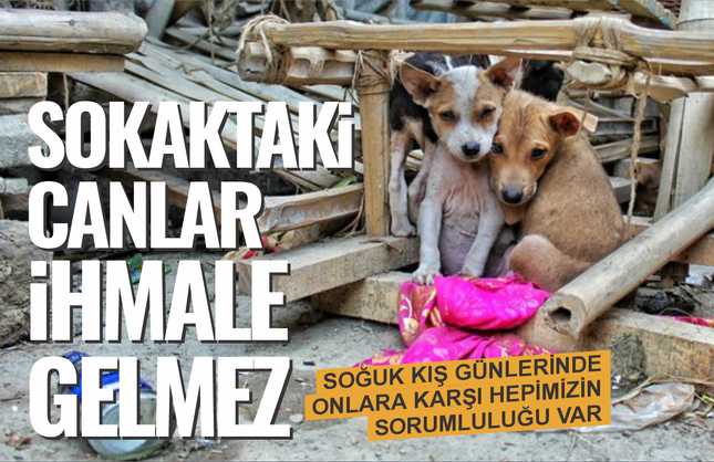 Soğuk ve yağışlı kış günlerinde sorumluluğumuz var