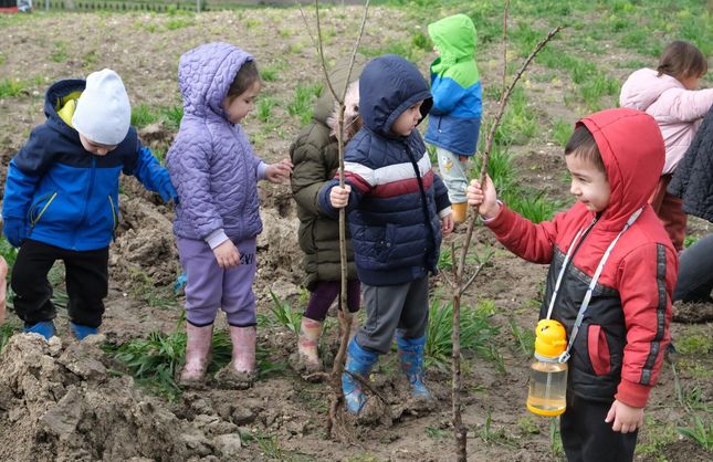 Minik Eller Balıkesir Üniversitesi kampüsünü yeşile boyadı