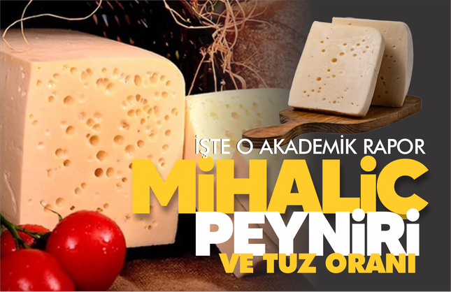 Mihaliç peyniri... Tuz oranı... İşte o akademik rapor!