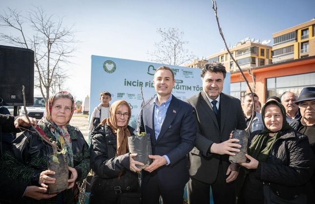 Havranlı üreticilede Yüzde 100 hibeli incir fidanı