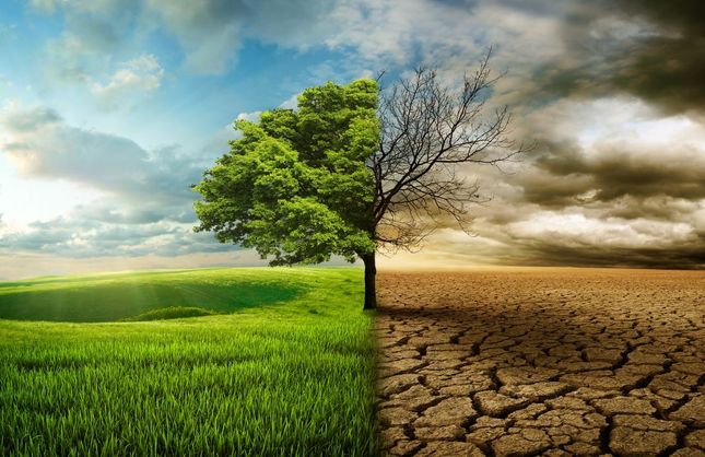 SUYUN İZİNDE: TARIM VE GIDA GÜVENLİĞİ BALIKESİR’DE MASAYA YATIRILACAK