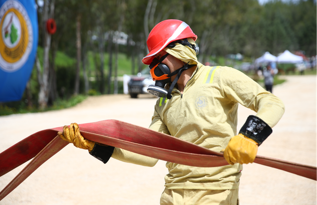 ORMANCILAR YARIŞIYOR! BÖLGE ELEMELERİNDE NELER YAŞANDI?