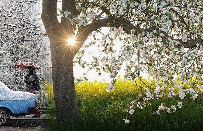 POLEN MEVSİMİ BAŞLADI.. ALERJİSİ OLANLAR DİKKAT!