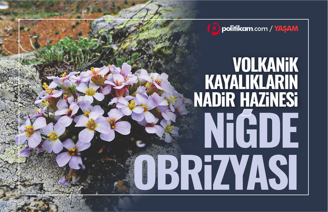 Volkanik kayalıkların nadir hazinesi: Niğde Obrizyası