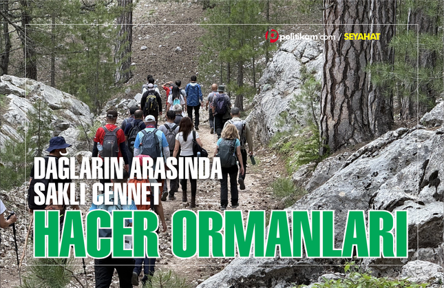 Dağların Arasında Saklı Cennet: Hacer Ormanları
