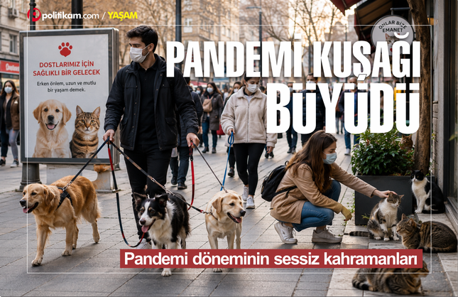 Pandemi Kuşağı Kedi ve Köpekler Orta Yaşa Ulaştı: Sağlıklı Yaşlanma İçin Kritik Dönem Başladı