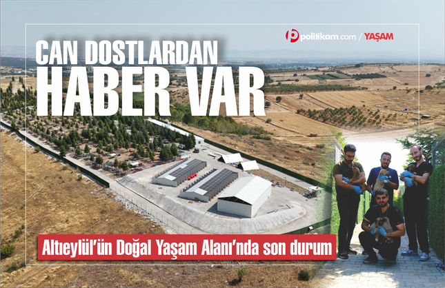 Altıeylül'ün Bakımevi ve Doğal Yaşam Alanı'nda son durum