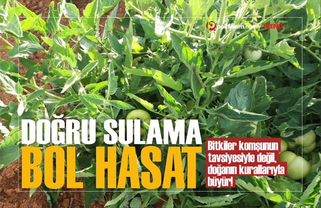 Bitkiler komşunun tavsiyesiyle değil, doğanın kurallarıyla büyür
