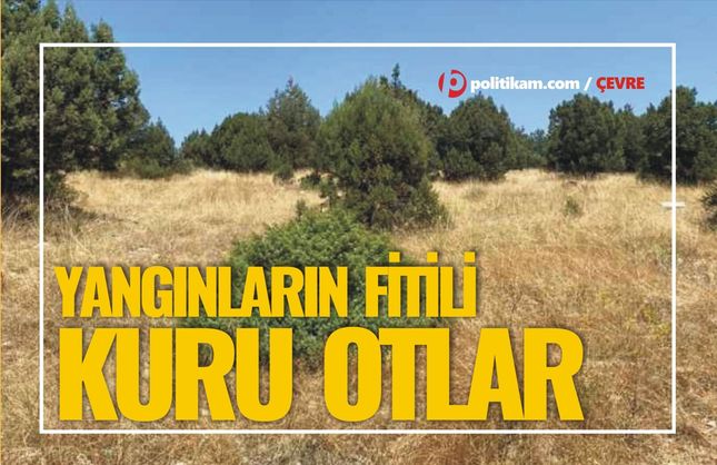 Yangının fitili kuru otlar!