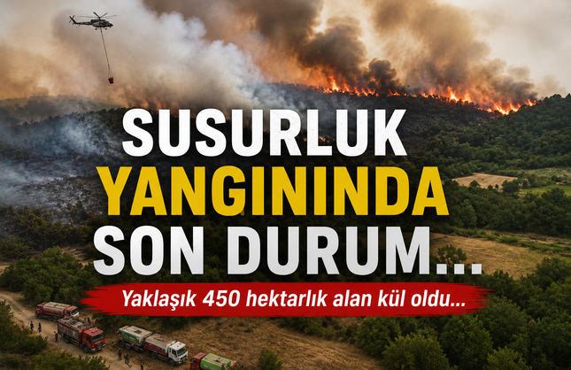 Susurluk'taki Orman Yangınında 450 Hektarlık Alan Etkilendi