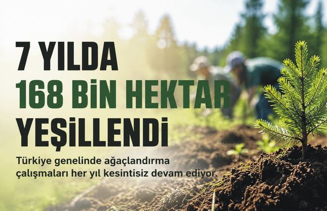 Türkiye'de 7 Yılda 168 Bin Hektardan Fazla Alan Ağaçlandırıldı