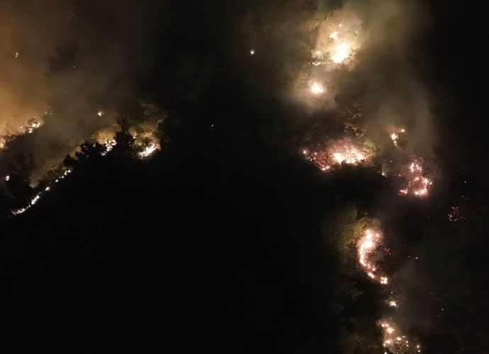 Hatay Hassa’da Orman Yangını: Alevlerle Karadan Yoğun Mücadele Sürüyor!