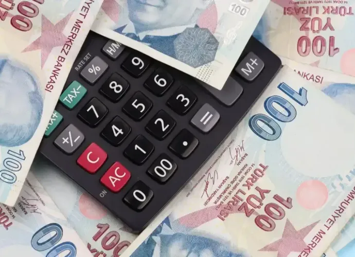Emeklilere Müjde! Tamamlayıcı Emeklilik Sistemi (TES) Geliyor!