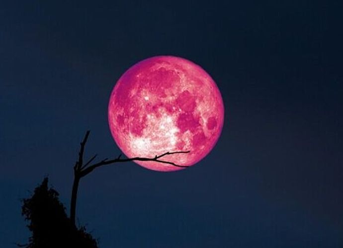 2026 Pembe Dolunay Ne Zaman, Saat Kaçta? Ay Gerçekten Pembe mi Olacak? Türkiye'den İzlenebilecek mi?