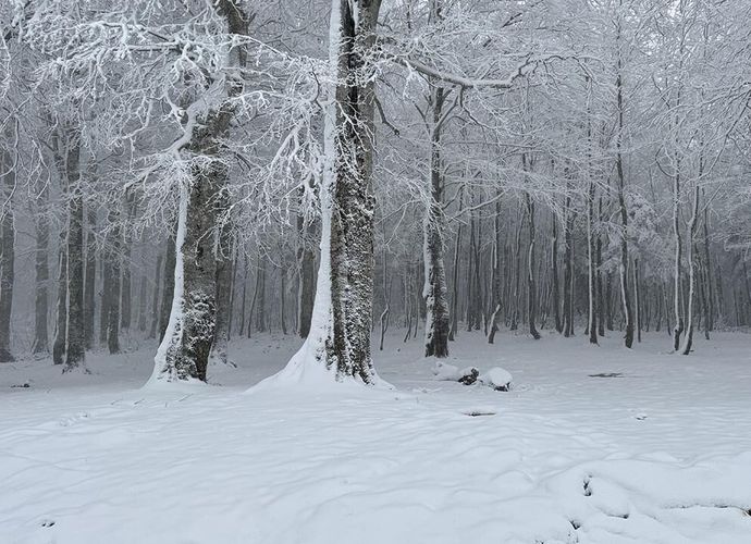 Meteoroloji’den 44 İl İçin Sarı Kodlu Uyarı: 20 Şehirde Kar Yağışı Bekleniyor!