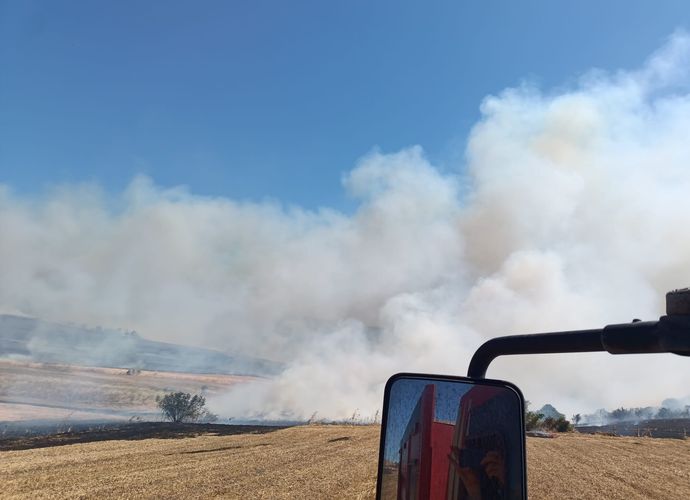 Balıkesir'de Korkutan Alevler, Rüzgarın Etkisiyle Ormana Sıçradı! Manyas'taki Yangından Son Dakika Gelişmesi!