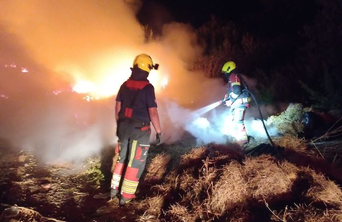 Ayvalık'ta Yol Kenarından Alevler Yükseldi! İtfaiye Söndürdü