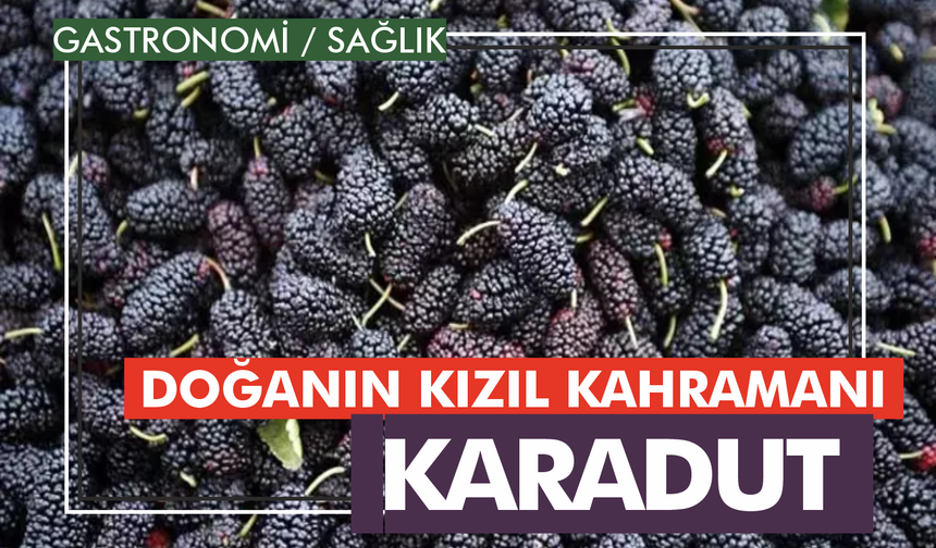 Doğanın Kızıl Kahramanı: Karadut!