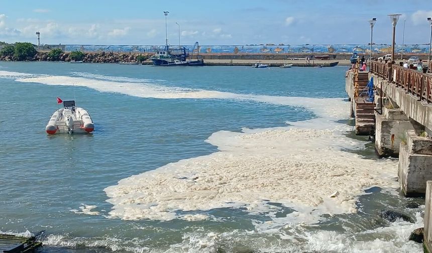 Bandırma ve Erdek Sahillerinde Korkutan Görüntüler! Marmara İçin Zaman Tükeniyor