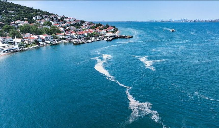 Marmara Denizi'nde Büyük Tehlike! Müsilaj Yeniden Görüldü!