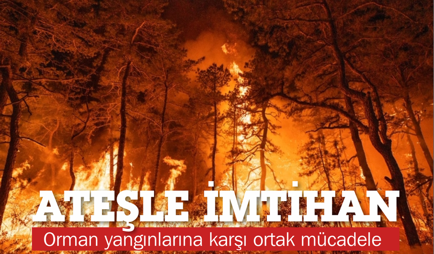 Ateşle İmtihan: Türkiye’yi ve Balıkesir’i Saran Orman Yangınlarına Karşı Ortak Mücadele