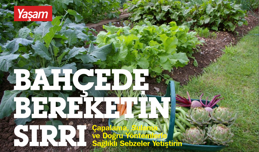 Bahçede Bereketin Sırrı