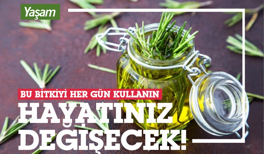 Bu Bitkiyi Her Gün Kullanın! Hayatınız Değişecek!