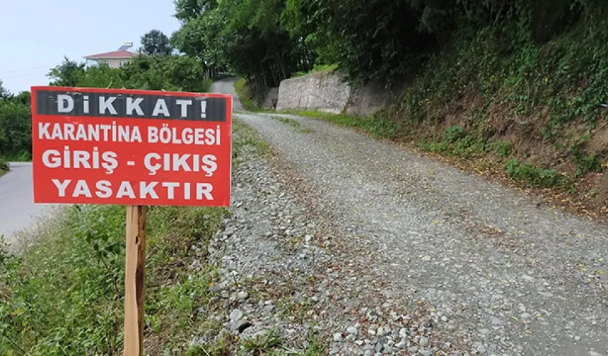 İvrindi'de Şok Karantina Kararı! Şap Hastalığı Görüldü... Hayvan Pazarı Kapatıldı!