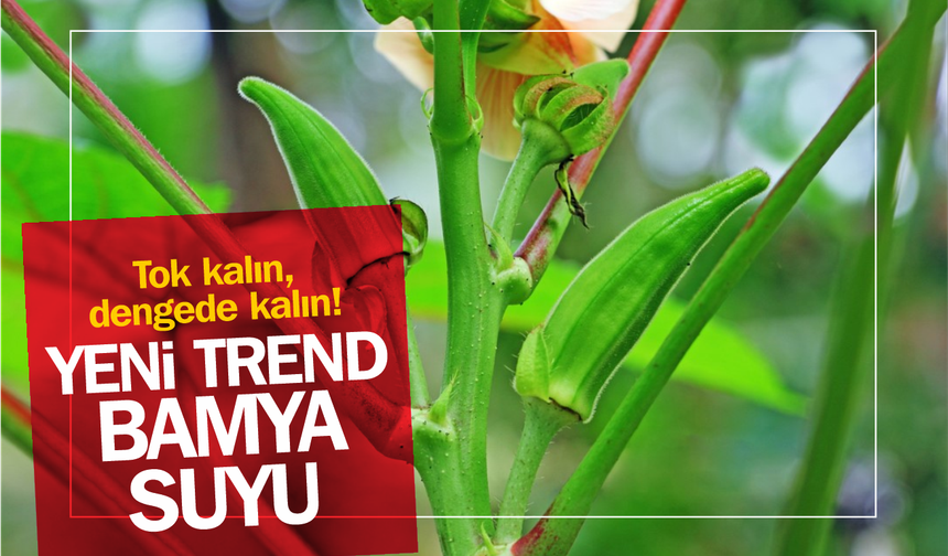 "Zayıflamanın Yeni Yıldızı: Bamya Suyu Mucizesi!"