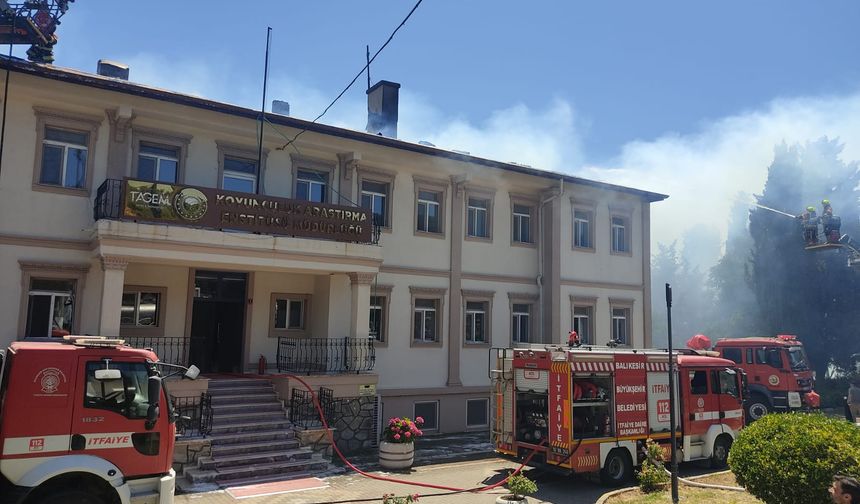 Bandırma'da Çatı Yangını! 14 Araç Seferber Oldu!