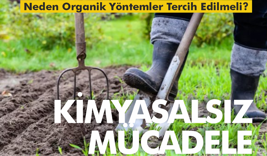 Bahçedeki Zararlılarla Organik Mücadele... Bitkilerinizi Doğal Yollarla Koruyun