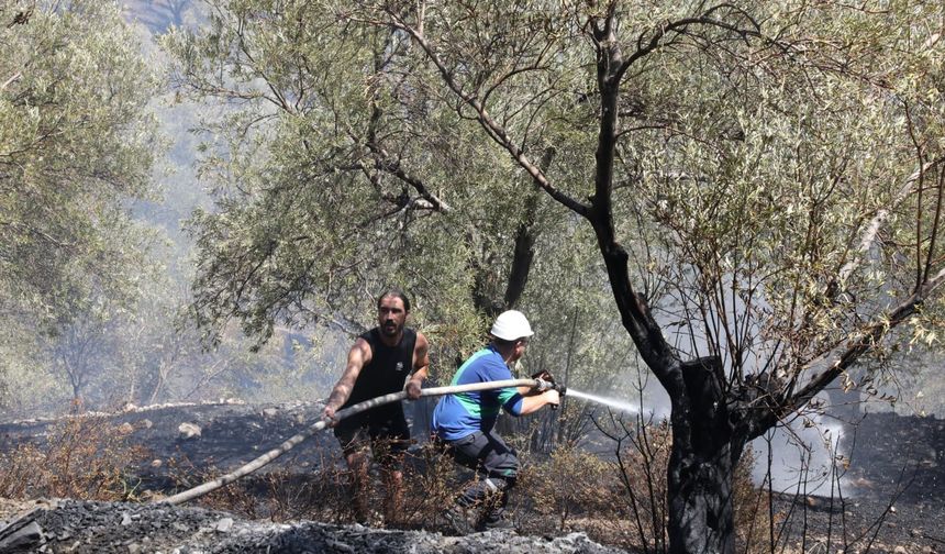 Edremit Çamlıbel'deki yangında son durum