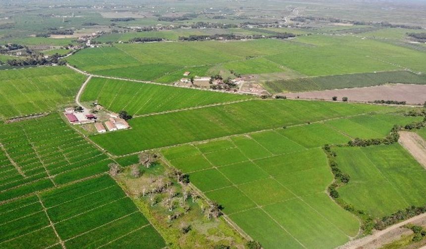 Balıkesir'deki Bu 3 Mahallede Tarlalar Baştan Düzenlenecek! İşte Yeni Tarım Projesi