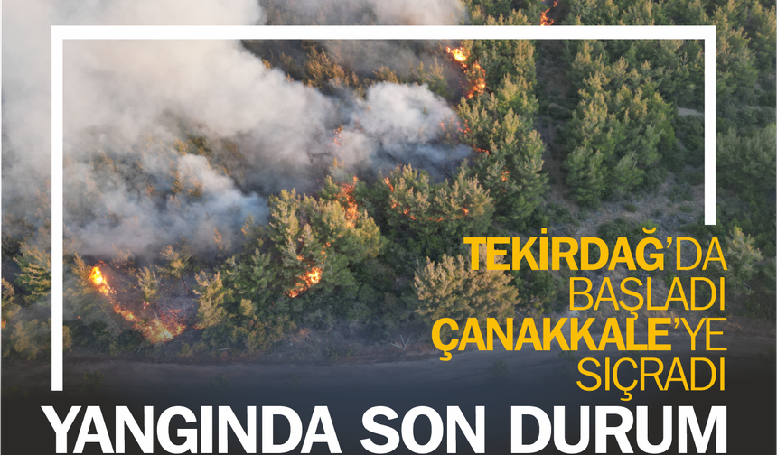 Şarköy Yangını 18. Saatinde: 21 Hava Aracıyla Müdahale Yeniden Başladı