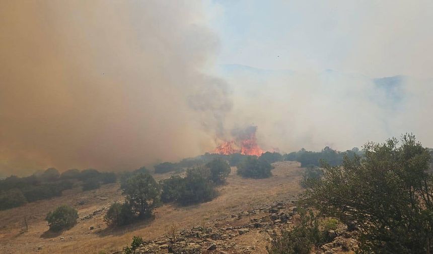 Balıkesir Kepsut’ta Orman Yangını! Ekipler Havadan ve Karadan Müdahale Ediyor
