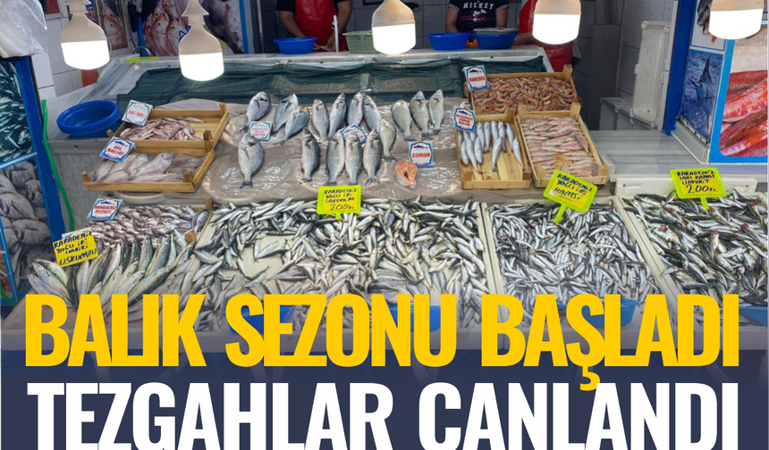 Sezon Açıldı: Balık Tezgahları Canlandı