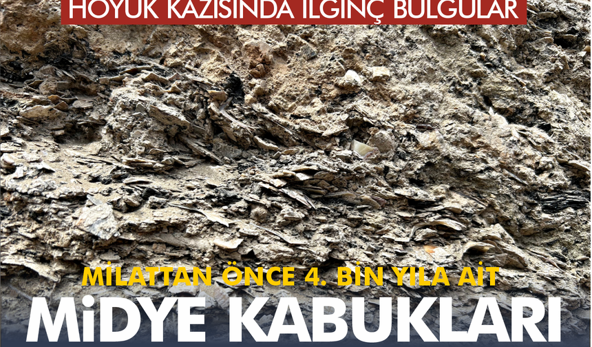 İkiztepe Höyüğü’nden Milattan Önce 4. Bin Yıla Ait Midye Kabukları Çıktı