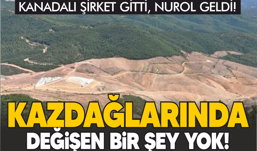 Kanadalı şirket gitti, TUMAD geldi... Kazdağları'nda değişen bir şey yok!