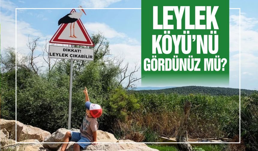 Leylek Köyü: Göç Yollarının Doğal Konaklama Noktası