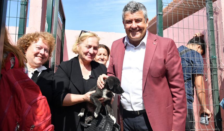 Karesi'de Doğal Yaşam Alanı'ndan sonra şimdi de mama fabrikası