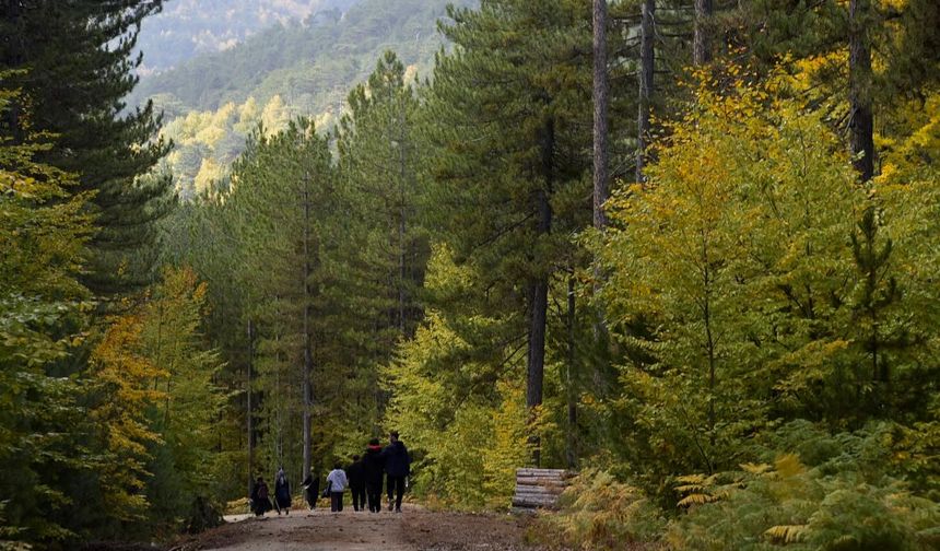 Doğa Severler Dursunbey’de Buluşuyor: 3. Hafta Rotası Yayla!