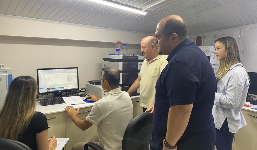 Burhaniye’de “Analizin Kadın Eli”: Zeytinyağı, Süt ve Balda Kalite Artıyor