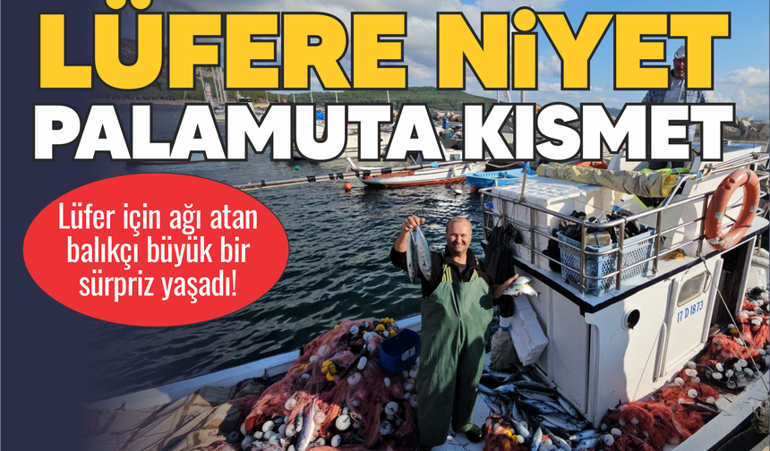 Lüfere niyet palamuta kısmet!