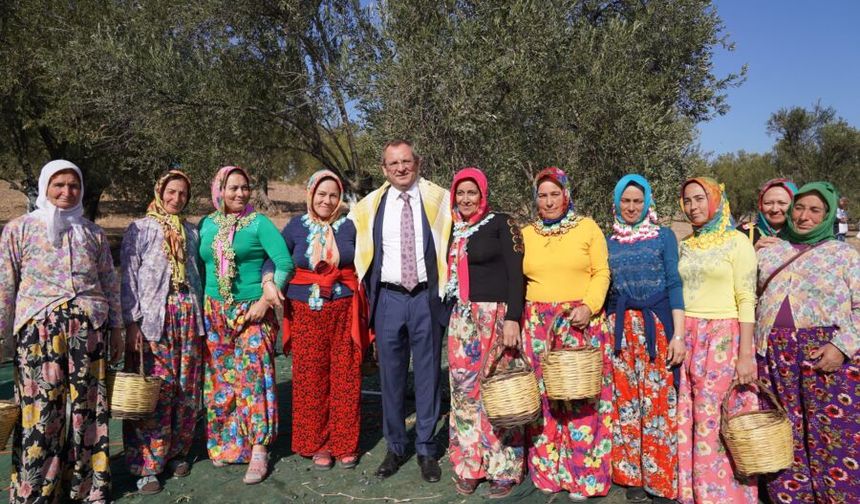 20. Uluslararası Zeytin, Hasat ve Turizm Festivali Başlıyor!