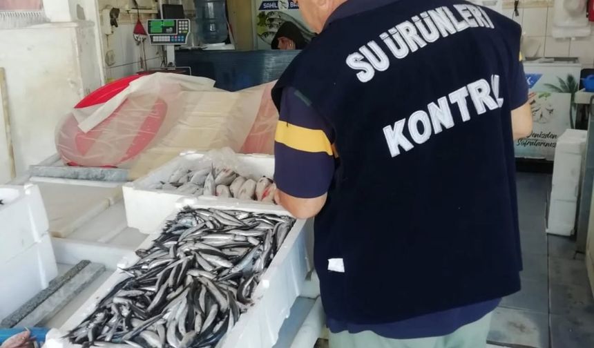 Burhaniye’de Balıkçılık Denetimleri Sıklaştı: Su Ürünlerinde Eş Zamanlı Kontrol!