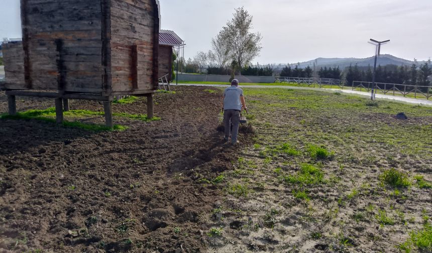 Kepsut’ta Günlük Hizmet Çalışmaları Yoğun Tempoyla Sürüyor
