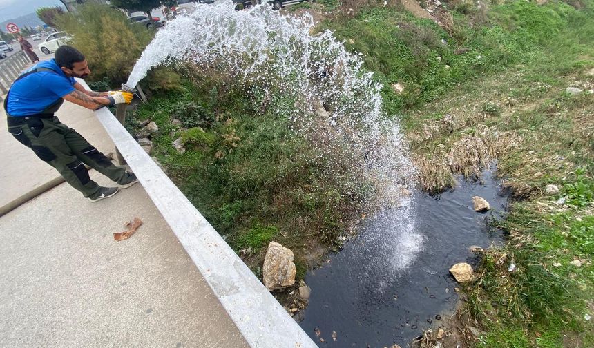 Edremit Belediyesi Su Kaplumbağalarının Yaşam Alanına Su Takviyesi Yaptı