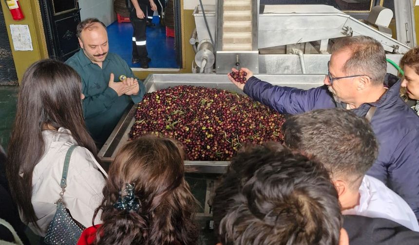 Ayvalık MYO Öğrencileri, Özgün Zeytincilik Fabrikası’nda Üretim Süreçlerini Yerinde İnceledi