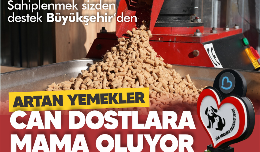 Büyükşehir, can dostların mamasını kendi üretiyor